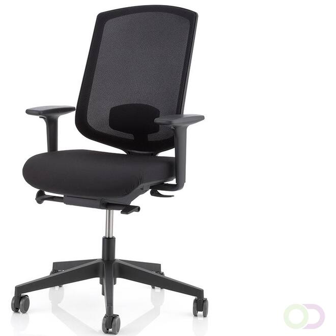 Delo Ergo chair 1+