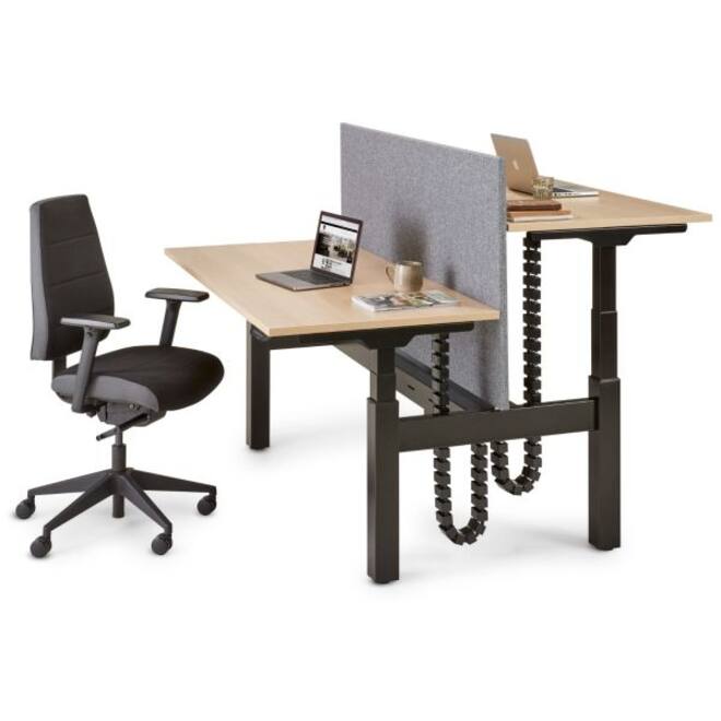S-Line Bench