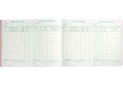 Register Piqure aandeelhouder NV/SA 250x320mm 80vel groen