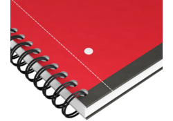Spiraalblok Oxford International Notebook A4+ ruit 5mm