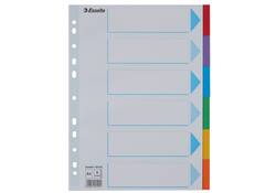 Tabbladen Esselte Standaard A4 6-delig karton 11-rings met voorblad assorti