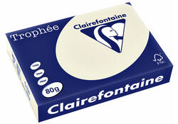 Kopieerpapier Trophee A4 80gr parelgrijs 500vel