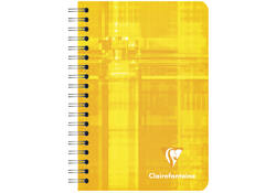 Notitieboek Clairefontaine A7+ 95x140 ruit 5x5 100blz 90gr assorti