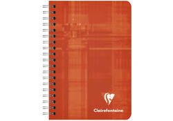 Notitieboek Clairefontaine A7+ 95x140 ruit 5x5 100blz 90gr assorti