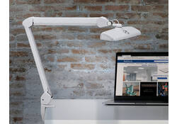 Werkpleklamp MAUL Intro LED tafelklem dimbaar wit