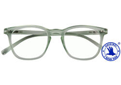 Leesbril I Need You +2.50 dpt Frozen groen
