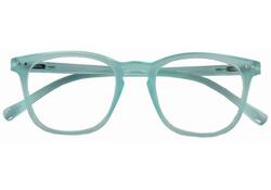 Leesbril I Need You +2.50 dpt Frozen blauw