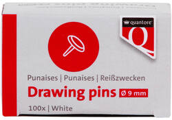 Punaises Quantore 100 stuks zilver