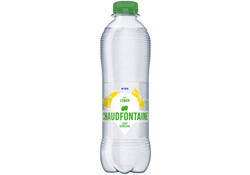 Water Chaudfontaine fusion citroen petfles 500ml