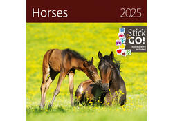 Kalender 2027 Helma 365 30x30cm paarden