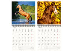 Kalender 2027 Helma 365 30x30cm paarden