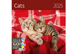Kalender 2027 Helma 365 30x30cm katten