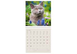 Kalender 2027 Helma 365 30x30cm katten