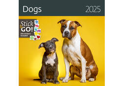 Kalender 2027 Helma 365 30x30cm honden