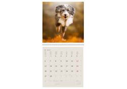 Kalender 2027 Helma 365 30x30cm honden