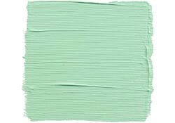 Acrylverf Talens Art Creation 666 pastelgroen tube à 75ml