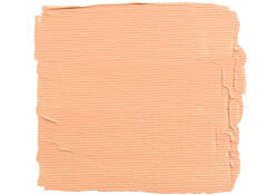 Acrylverf Talens Art Creation 224 napelsgeel rood tube à 75ml