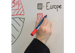 Viltstift Schneider Maxx 290 whiteboard rond 2-3mm assorti doos à 5+1 gratis