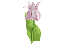 Vouwblaadjes Folia 80gr 20x20cm 50 vel 2-zijdig 10 basics designs