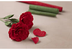 Crêpepapier Creativ Company DIY rozen