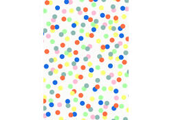 Inpakpapier Stewo Bright Fun 200x70cm assorti