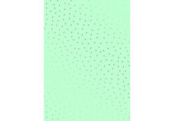 Inpakpapier Stewo Fresh Patterns 200x70cm assorti