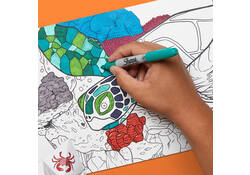Viltstift Sharpie rond Beat the Maze fijn assorti pak à 30 stuks