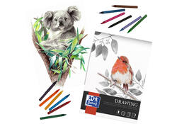 Tekenblok Oxford Drawing A3 40 vel 160 gram