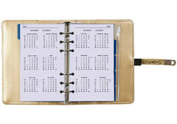 Organizer Kalpa Personal inclusief agenda 2024-2025 7dagen/2pagina's croco goud