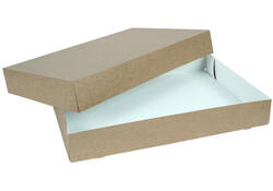 Cateringdoos IEZZY 55cm plasticvrij bruin 10 stuks