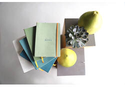 Notitieboek Rhodia A5 lijn 80 vel 90gr celadon