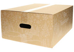 Kerstdoos IEZZY bedrukt Holland-2 390x290x250mm wit