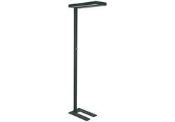 Vloerlamp MAUL Juvis LED beweging- daglichtsensor dimbaar hg 195cm zwart