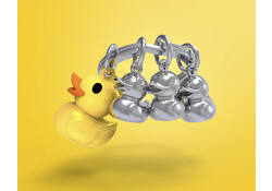 Sleutelhanger Metalmorphose eendenfamilie