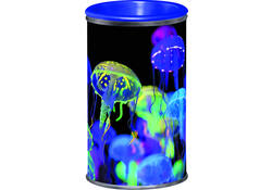 Puntenslijper Maped Deepsea Paradise 1-gaats display à 18 stuks