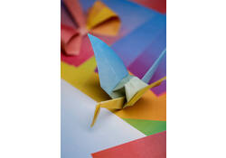 Origami Clairefontaine Gradient 20x20cm set à 100 vel 80gram assorti