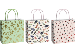 Cadeautasjes Stewo Nature 20x20cm set à 3 desins
