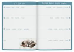 Agenda 2025 Lannoo My Favourite Friends 7dagen/2pagina's