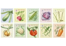 Postzegel Belgie Waarde 1 zelfklevend non-prior 5x10 stuks