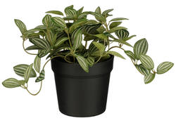 Kunstplant Mica Tradescantia in pot 16x16cm