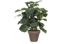 Kunstplant Mica Pilea in pot Ø11,5cm 35x25cm