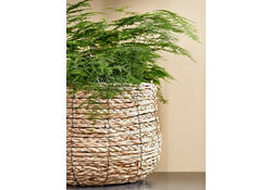 Plantenmand Mica Avalon zeegras rond lichbruin 31x30cm