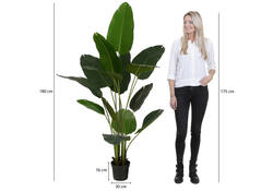 Kunstplant Mica Bananen boom in plastic pot 180x30cm