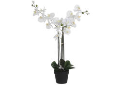 Kunstplant Mica Phalaenopsis orchideeën wit in plastic pot 79x51cm