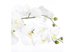 Kunstplant Mica Phalaenopsis orchideeën wit in plastic pot 79x51cm