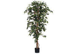 Kunstplant Mica Ficus in plastic pot 180x100cm