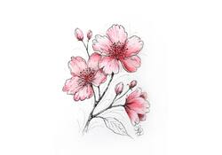 Tekenset Sakura Creative Kit Cherry Blossom
