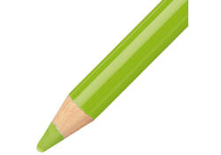Kleurpotloden STABILO CarbOthello kalkpastel middenloofgroen