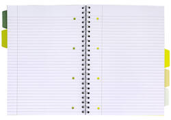Projectboek Pukka Recycled A4 lijn 5-tabs 4-gaats 200 pagina's 80gr groen