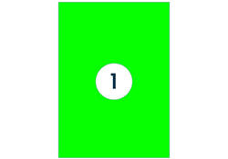 Etiket Rillprint 210x297mm fluorgroen 100 etiketten